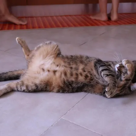 Viaggiocuoreart Bed and breakfast Nápoles