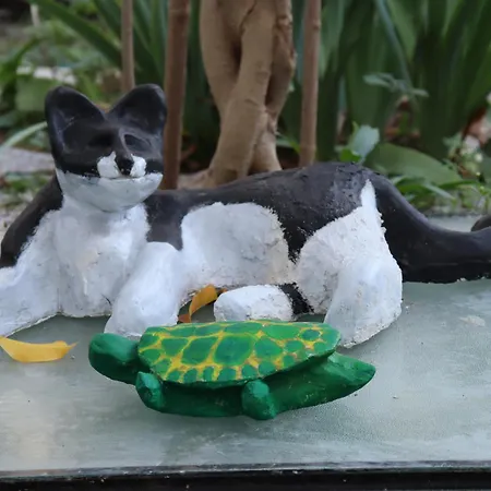 Bed and Breakfast Viaggiocuoreart 3*