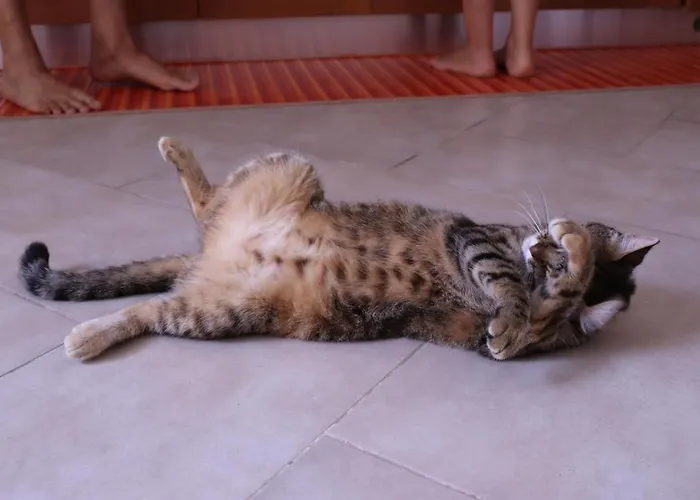 Viaggiocuoreart Bed and Breakfast Νάπολη