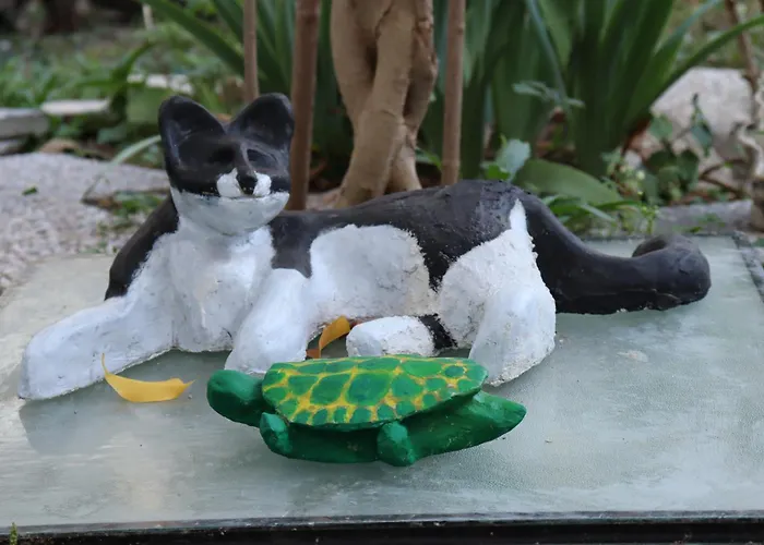 Bed and Breakfast Viaggiocuoreart 3*